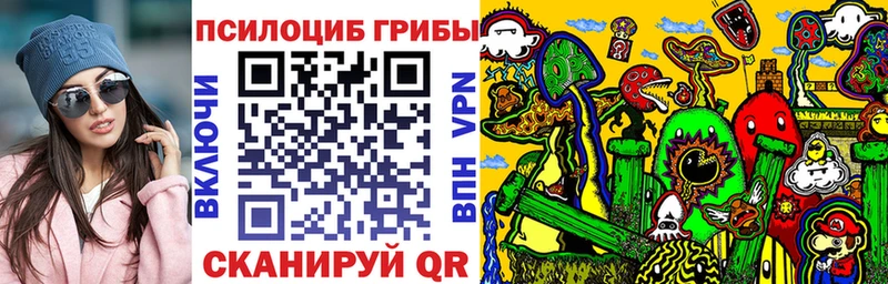 KRAKEN   Темников  Псилоцибиновые грибы Magic Shrooms 